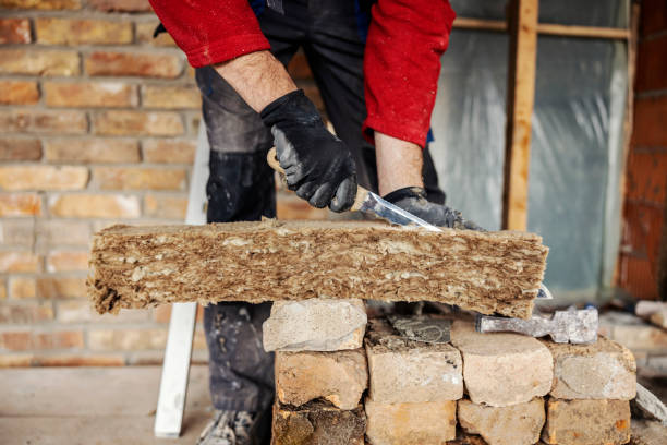Best Garage Insulation Installation  in Farmerville, LA